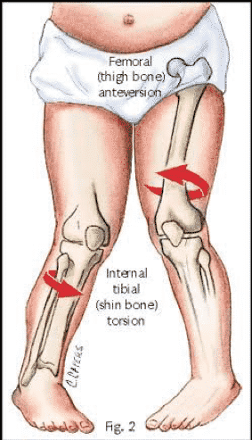 Modelagem Óssea - Parte 1