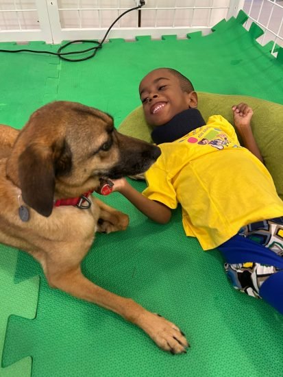 WhatsApp Image 2026-01-08 at 16.13.49